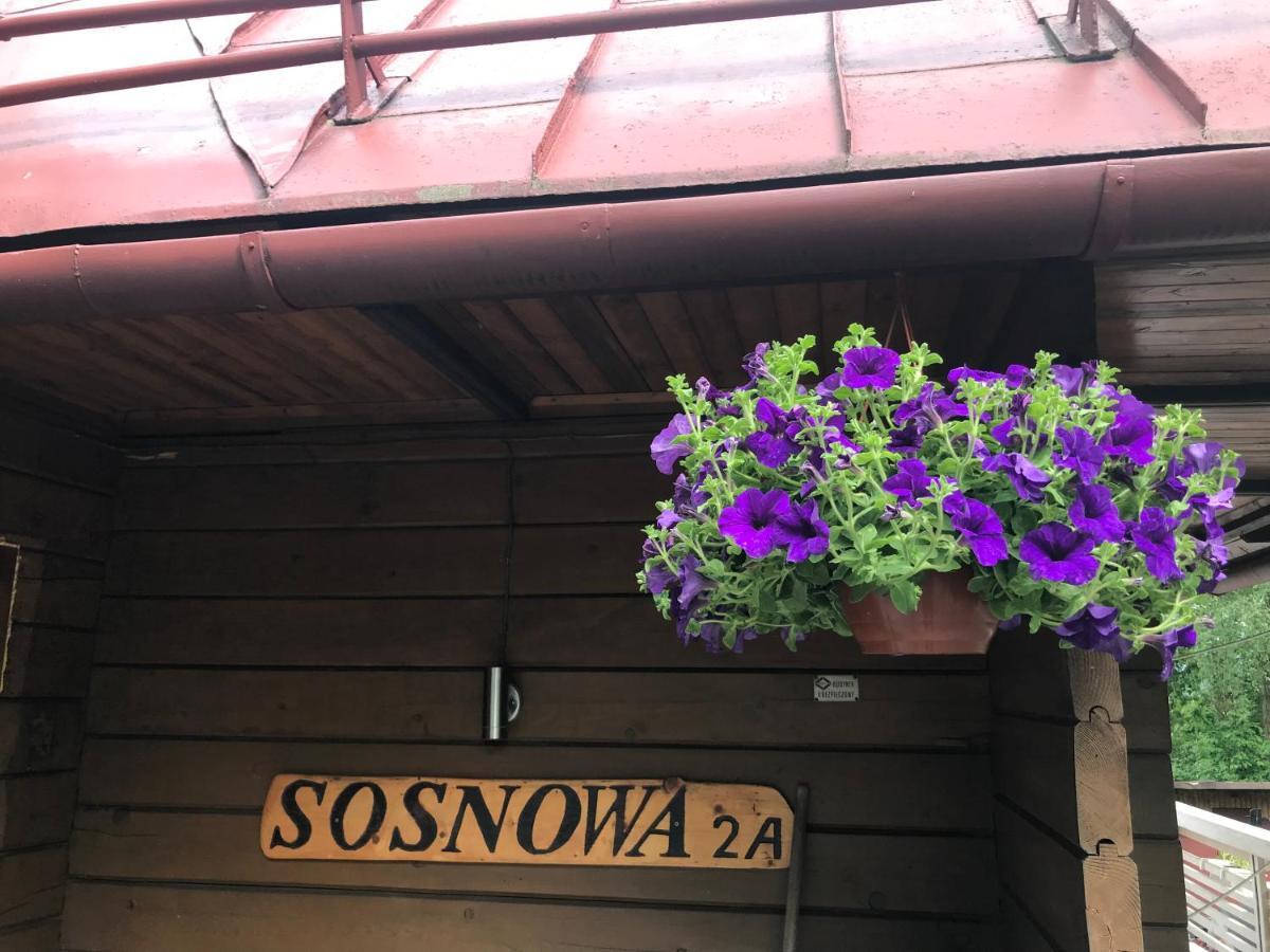 Sosnowy Zakatek Villa Wisla Bagian luar foto